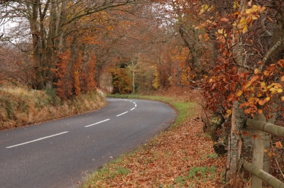 Autumn 
